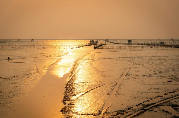 Aventure sous-marine : Découvrez les trésors secrets des récifs coralliens les plus éblouissants de la planète!