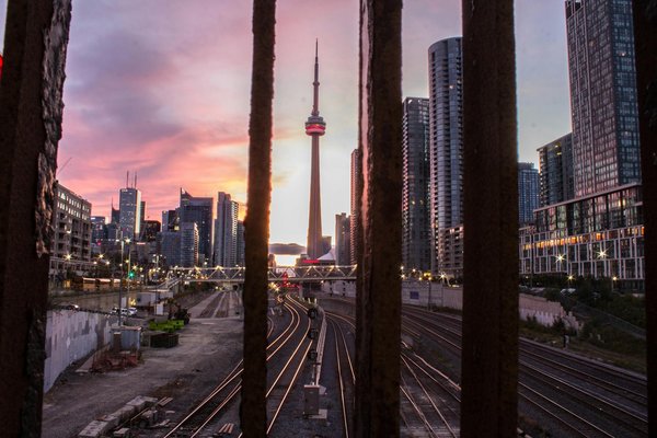 Le Guide Complet pour Camping avec Votre Compagnon à Quatre Pattes : Toutes les Réponses à Vos Interrogations !